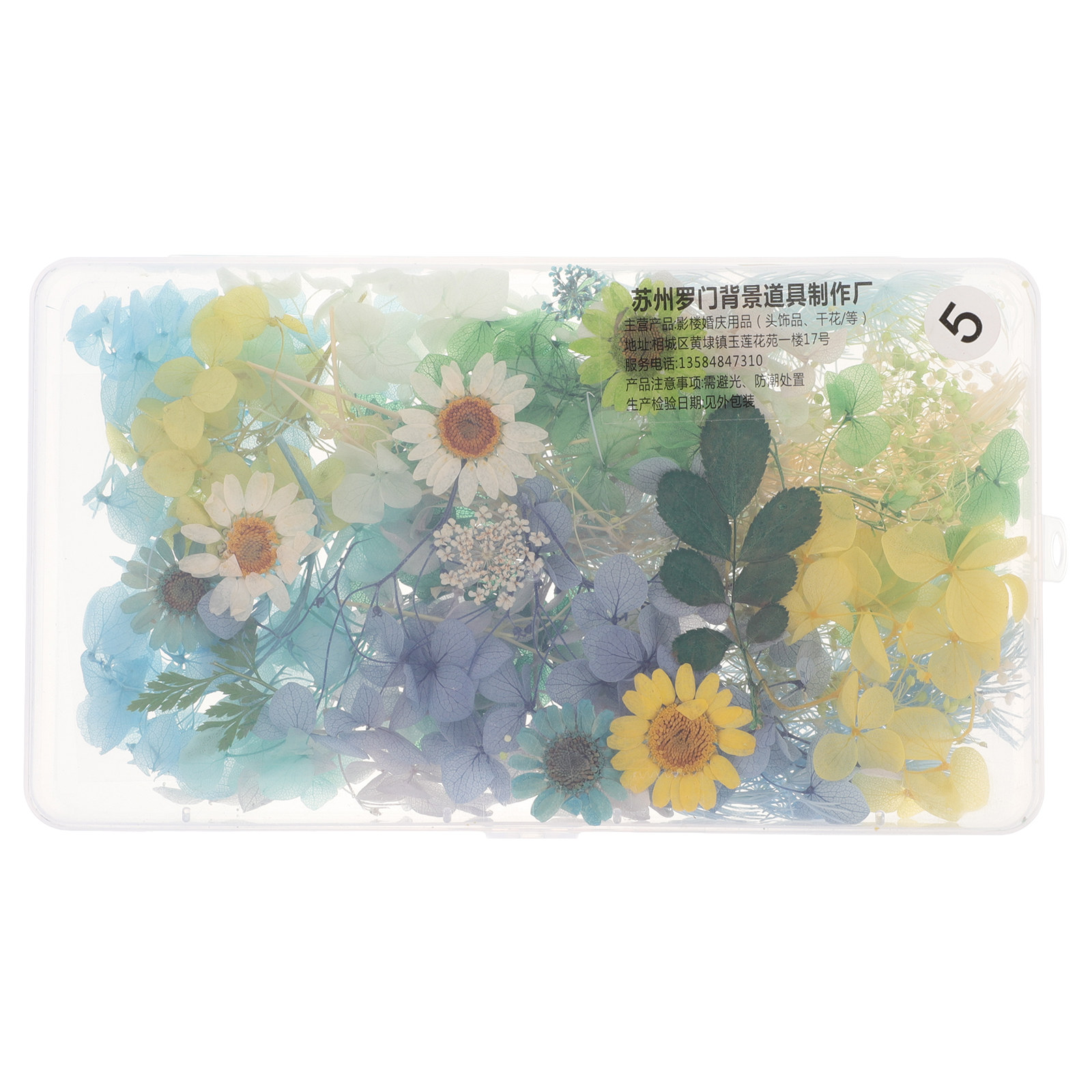 Resin Crafts Diy - Kit de fleurs séchées pour coiffure