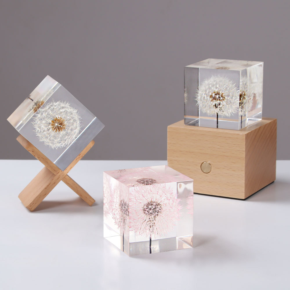Fleurs fraîches préservées de  - Flower Preservation Resin avis et prix