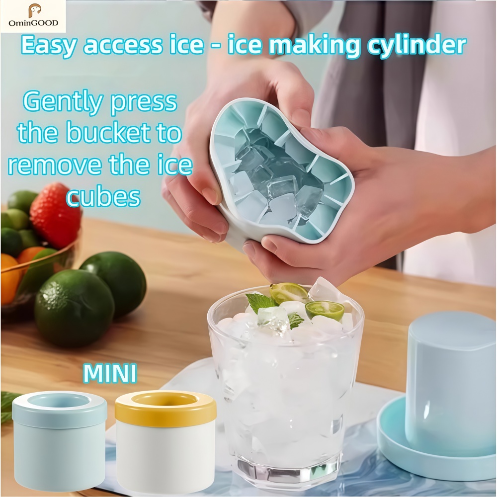 NOUVEAU Lot de 1 à 6 mini moul - Silicone Mold Tray avis et prix