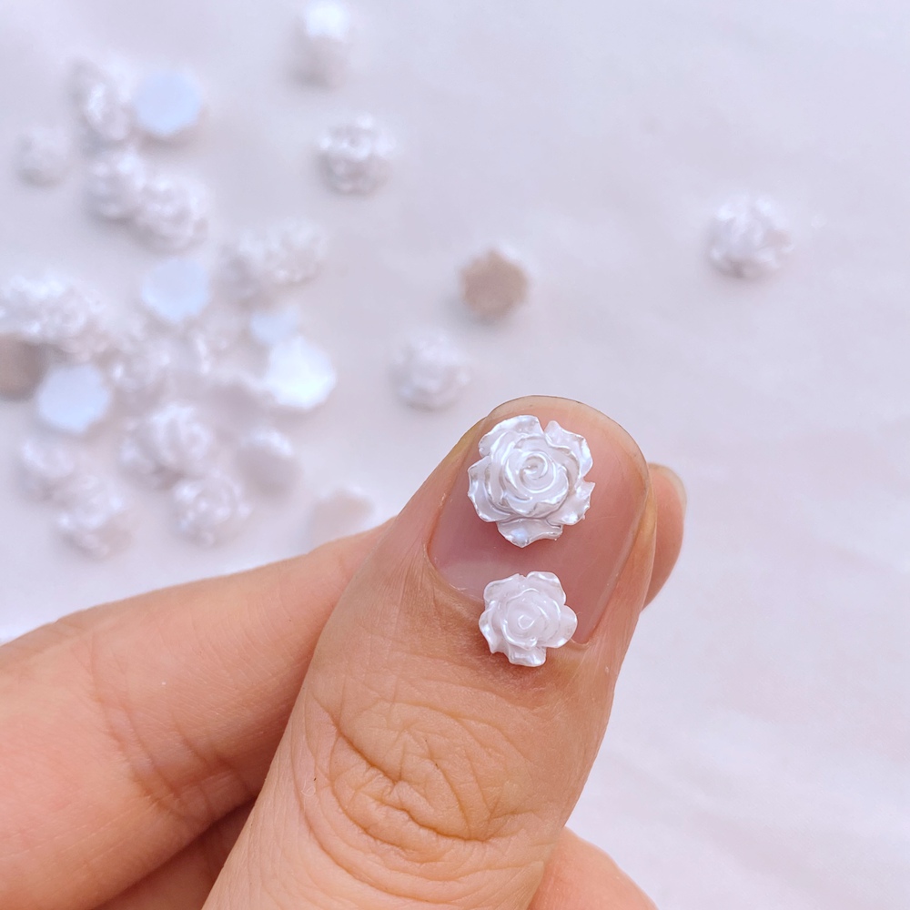 Ornement en résine de la série - Flower Preservation Resin avis et prix