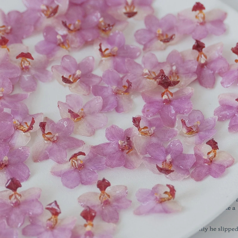 Kit d'orchidées en résine rose - Resin Jewelry Kit avis et prix